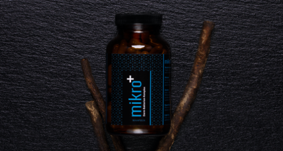 mikro DarmVerdauung Darm Bakterien