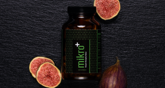 mikro DarmVerdauung Enzym