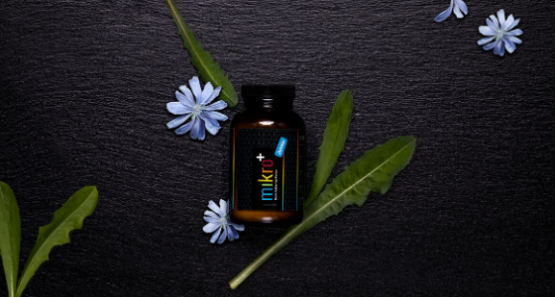 mikro Darm Bakterien Pulver Junior 560x300