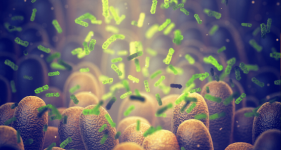 mikro Mikrobiom 560x300