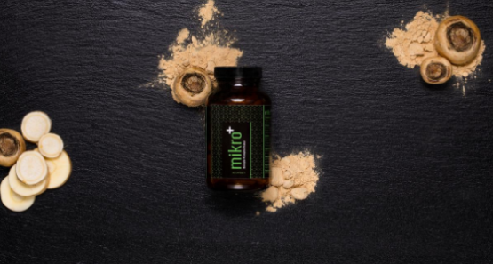 mikro Energiestoffwechsel Energie 560x300