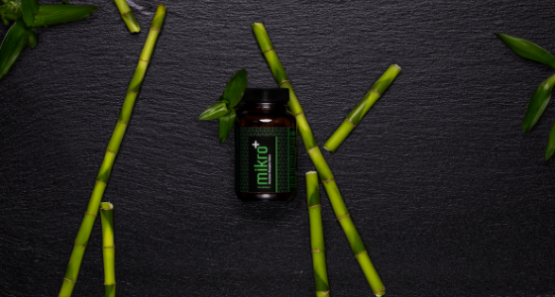 Knochenstoffwechsel Knochen 560x300 1