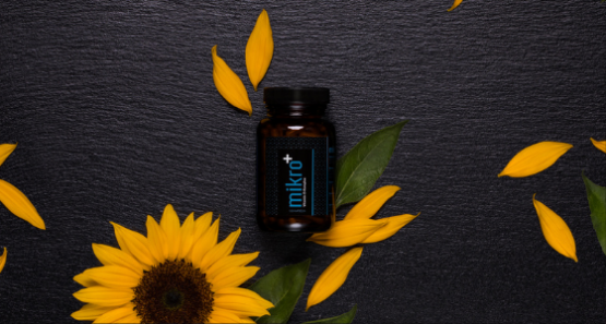 Knochenstoffwechsel Vitamin D 560x300 1