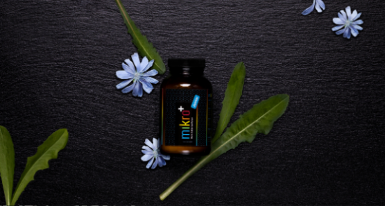 mikro Darm Pulver Junior 560x300 1