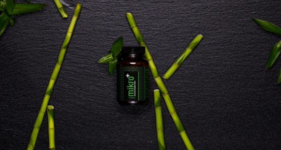 mikro Knochen Komplex 560x300 