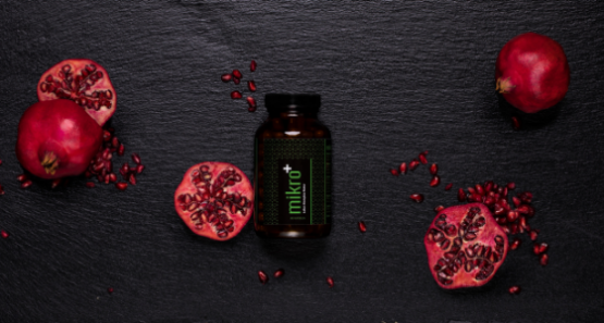 mikro Leber Komplex 560x300