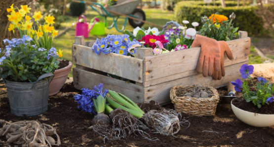 mikro Fruehjahrsputz 560x300