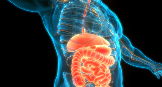 mikro starkes Immunsystem 560x300