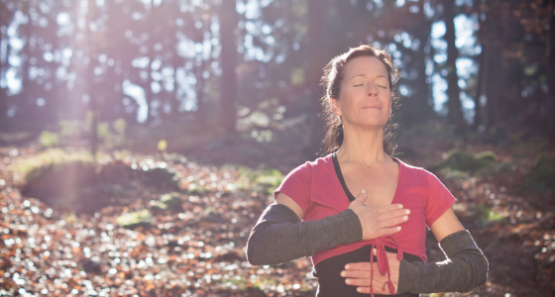 mikro Waldbaden 560x300